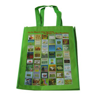 长沙LB11覆膜无纺布广告袋